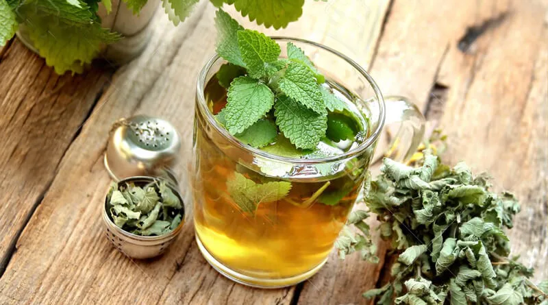Melisa çayının faydaları